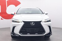 Lexus NX vaihtoauto
