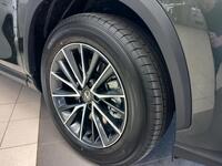 Lexus NX vaihtoauto