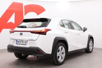 Lexus UX vaihtoauto