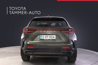 Lexus NX vaihtoauto