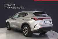 Lexus NX vaihtoauto