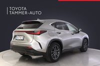 Lexus NX vaihtoauto
