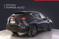 Lexus NX vaihtoauto