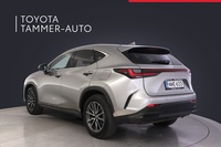 Lexus NX vaihtoauto