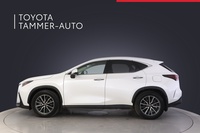 Lexus NX vaihtoauto