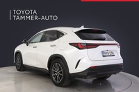 Lexus NX vaihtoauto