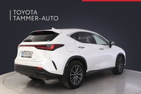 Lexus NX vaihtoauto