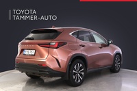 Lexus NX vaihtoauto