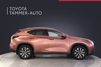 Lexus NX vaihtoauto
