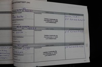 Renault Mégane vaihtoauto