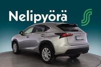 Lexus NX vaihtoauto