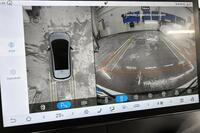 BYD Dolphin vaihtoauto