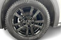 BYD Dolphin vaihtoauto