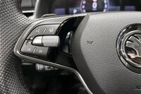 Skoda Scala vaihtoauto