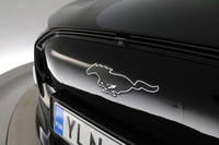 Ford USA Mustang vaihtoauto