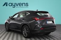 Lexus NX vaihtoauto