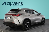 Lexus NX vaihtoauto