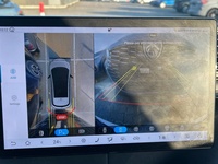 BYD Dolphin vaihtoauto