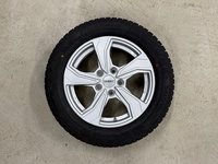 BYD Dolphin vaihtoauto