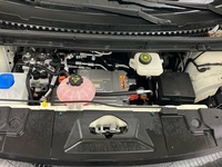 BYD Dolphin vaihtoauto