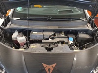 Cupra Born vaihtoauto