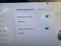 BYD Dolphin vaihtoauto