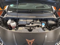 Cupra Born vaihtoauto