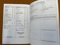 Volkswagen Multivan vaihtoauto