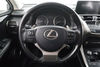 Lexus NX vaihtoauto