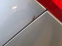 Citroën DS5 vaihtoauto