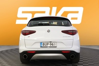 Alfa Romeo Stelvio vaihtoauto
