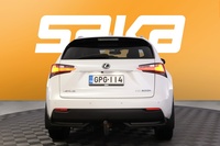 Lexus NX vaihtoauto