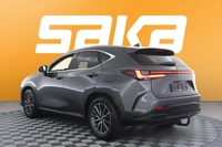 Lexus NX vaihtoauto