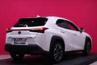 Lexus UX vaihtoauto