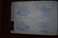 Alfa Romeo Giulia vaihtoauto