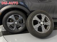 Ford USA Mustang vaihtoauto