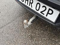 Polestar 3 vaihtoauto