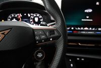 Cupra Terramar vaihtoauto