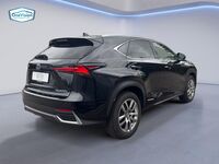 Lexus NX vaihtoauto