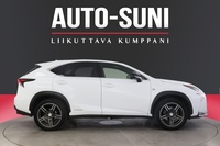 Lexus NX vaihtoauto