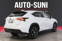 Lexus NX vaihtoauto