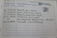 Peugeot 307 vaihtoauto