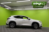 Lexus NX vaihtoauto