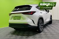 Lexus NX vaihtoauto
