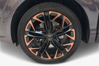 Cupra Terramar vaihtoauto