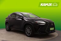 Lexus NX vaihtoauto