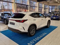Lexus NX vaihtoauto