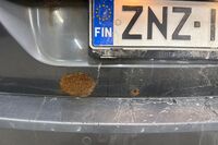 Volkswagen Sharan vaihtoauto