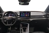 Cupra Terramar vaihtoauto