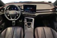 Cupra Terramar vaihtoauto